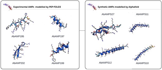 3D modelled structures of AMPs. 3D modelling of natural AMP and synthetic AMP.