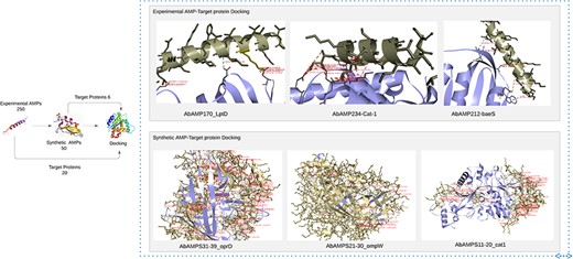Docking of experimental AMP and synthetic AMP with pathogenic proteins of A. baumannii reveals top 6 AMPs that has low binding energies.