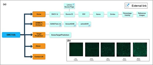 Information and relationships of entities in SMCVdb: (a) Relationships between the entities in SMCVdb is shown with boxes and lines referring to the information and functions in SMCVdb and (b) Sample images showing percentage viability at different viability levels (e.g.: 0, 25, 50, 75, and 100).