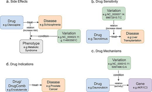 Knowledge patterns in CPMKG. (a) Side effects refer to side effects or complications that occur during the use of medication. Example: association between olanzapine and metabolic syndrome risk in schizophrenia patients. (b) Drug sensitivity refers to an individual’s propensity to exhibit a heightened or exaggerated response to medication compared to the average population. Example: influence of the CC genotype on tacrolimus requirement in liver transplant patients. (c) Drug mechanism refers to the relationship between an individual’s genome and their response to medications. Example: reduction of AKR1C3 enzyme activity during daunorubicin treatment in patients with the A allele variant. (d) Drug indication refers to the formal recommendation for medication use in treating specific diseases or pathological conditions. Example: utilization of enzalutamide in prostate cancer treatment.