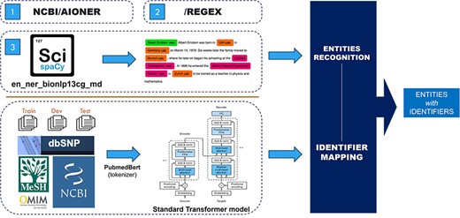 The overview of the NER structure.