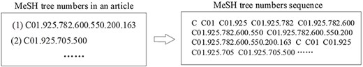 The procedure of generating a sequence from MeSH tree numbers in an article.