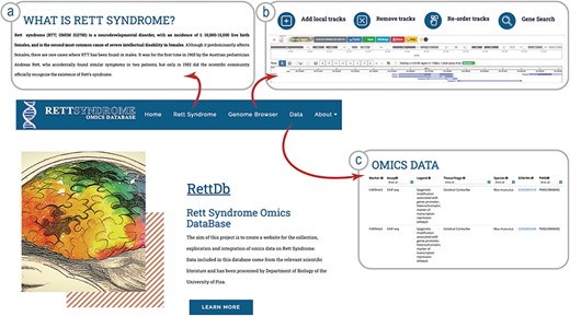 Schema of the RettDb database structure. (a) RTT description page, (b) link to the Genome Browser landing page, and (c) link to the list of datasets loaded onto the Genome Browser.