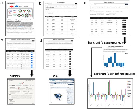 Data browsing and user experience in ELiAH.