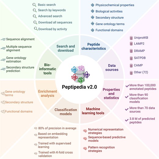 Overview of Peptipedia v2.0. This new version of Peptipedia includes > 100 000 peptides registered with functional biological activities, extracted from > 70 data sources. Different physicochemical properties and enrichment analyses were addressed to characterize the peptides collected. The services and functionalities were updated, incorporating gene ontology and functional domain predictions, secondary structure evaluation, and physicochemical properties estimation. Besides, > 90 functional biological activity classification models were implemented, combining embedding representation through pretrained models and supervised learning algorithms. Finally, customizable machine learning pipelines could be implemented by employing the machine learning tools in Peptipedia v2.0 to facilitate the application of machine learning techniques to study peptide sequences.