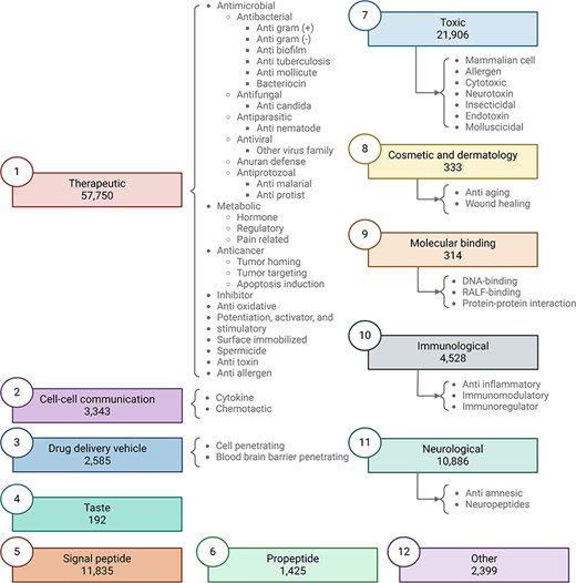 Updated functional biological activity tree implemented in Peptipedia v2.0. In this work, we have updated the functional biological activity tree to include new activities related to taste, molecular binding, and cosmetics and dermatology. Additionally, various antiviral activities have been added, specifically targeting virus families and different mechanisms, with a particular focus on HIV. We have also incorporated peptides associated with therapeutic functions, such as inhibitors, antitoxins, antiallergens, and spermicides. Peptides with toxic effects have also been included, constituting a significant part of the newly reported peptides in Peptipedia v2.0. Lastly, the category of peptides classified as ‘other’ has been updated to encompass diverse biological activities unrelated to the main proposed activities, such as participation in photosynthesis and antibarnacle properties.