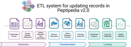 ETL system implemented for processing a data source and loading the collected information into Peptipedia DB. The ETL system implemented in Peptipedia facilitates the process of a new data source to extract and load the information into Peptipedia DB. First, the different information is extracted from the data source, including the peptide sequence, references, keywords, and relevant properties described in the data source. Then, two transformation processes are applied to collect raw data to facilitate the characterization of the peptide sequences and the identification of the functional biological activity. Also, an enrichment analysis is run to obtain gene ontology terms and functional domains. Finally, the load process implies inserting or updating the records in the Peptipedia DB, a statistical analysis, and a summary process of the ETL execution.