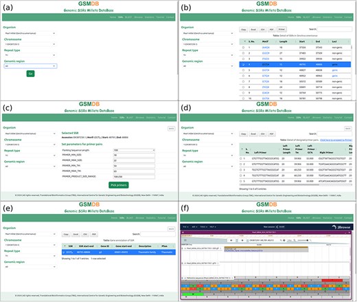 Database snapshots: SSR tab (a) users can select the name of organism and other parameters step by step, (b) detail of SSRs, (c) window to select flanking sequence and parameters to design primer pairs, (d) details of designed primer pairs, (e) gene annotation of respective SSR, (f) JBrowse tab to showcase a comprehensive view, incorporating genome, SSRs, and gene annotations for a more enriched and user-friendly experience.