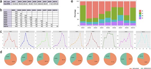 Characteristics of isomiRs bound to each AGO complex. (a) Summary of normalized expression for all isomiRs bound to each AGO complex. (b) Comparison of small RNA populations bound by the nine AGO complexes, with numbers indicating unique overlapping isomiRs. (c) Size distribution of isomiRs bound by the nine AGO complexes. (d) Pie charts summarizing exclusive and ambiguous isomiRs for these complexes. (e) The relative frequency of each 5′ terminal nucleotide bound by each AGO complex.