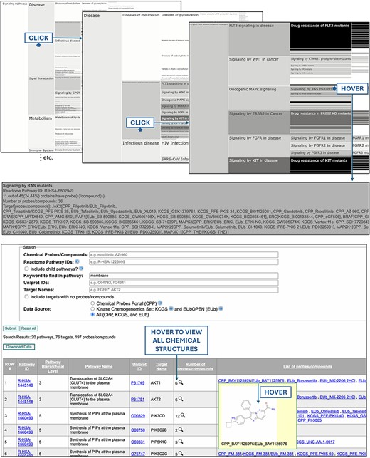 The PmP database can be browsed with interactive icicle charts, reflecting the mapping of chemical tools onto Reactome pathways (top), and a search engine returns the chemical coverage of pathways for any combination of text-based queries as a downloadable table (bottom).