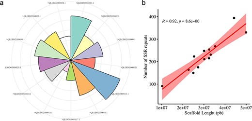 Distribution and number of SSRs on A. spinosa scaffolds (a), and their correlation with schaffold lengths.