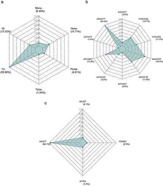 Distribution of SSR numbers in A. spinosa L. predicted genes: (a) all types of SSR motifs; (b and c) predominant repeat motifs.