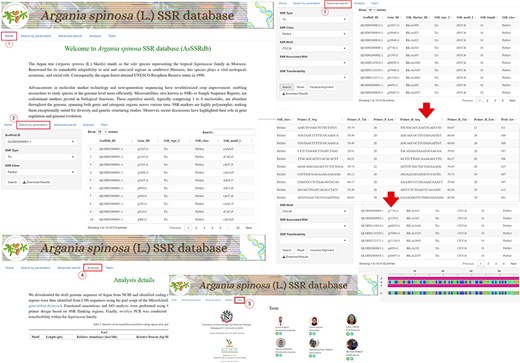The interface and searching of the Argan spinosa L. SSR database “AsSSRdb’.