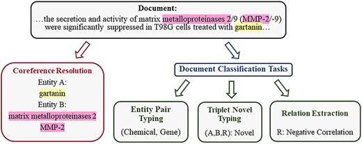 The example, adapted from BioRED, illustrates the division of the training task into four related tasks, from an input document with annotated entity mentions to RE and TNT output.