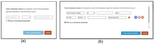 A before (a)-vs-after (b) comparison on the Form Character window.