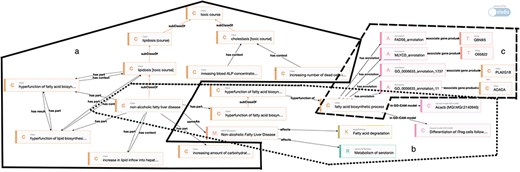 TEKG applications visualized through Ontodia, showcasing linked data to address competency questions on toxic processes, biological pathways, and compromised gene or protein functionality.
