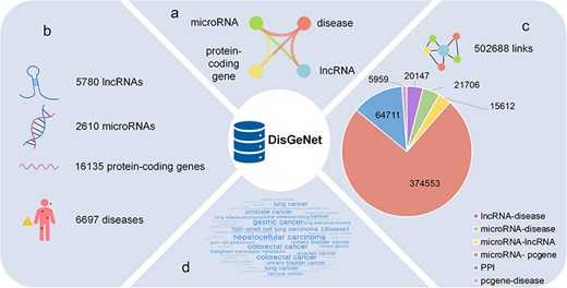 The statistics of DisGeNet: (a) six types of links network, (b) four types of nodes, (c) statistics of links, and (d) the top 50 diseases associated with genes.