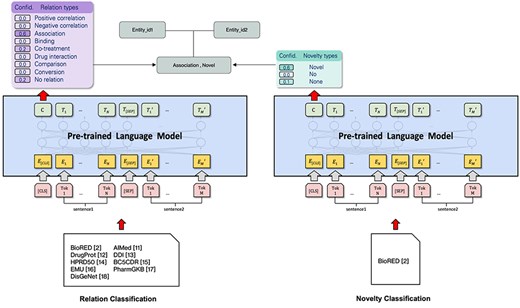 Model architecture.