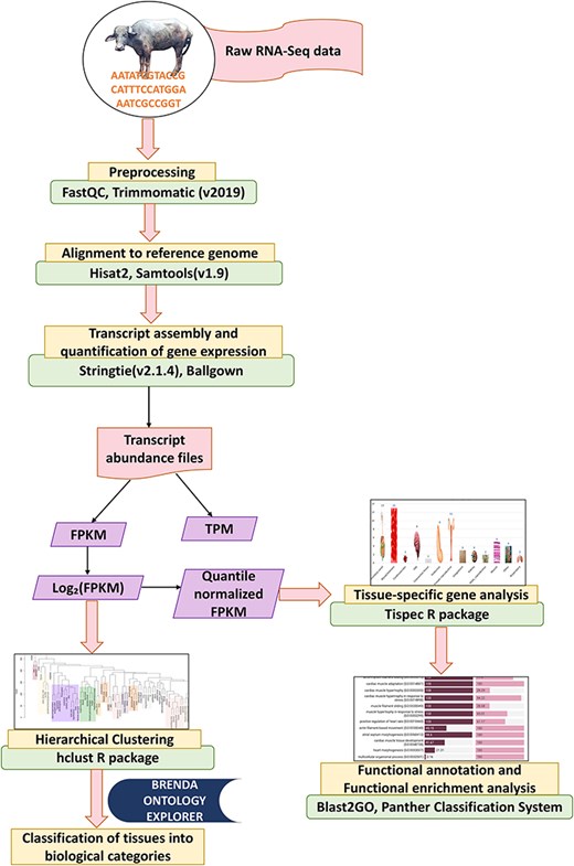 Analysis pipeline for RNA-Seq data.
