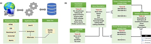 (a) Three-tier structure of the database. (b) Tables in the database and their relations.