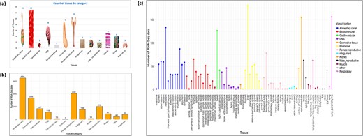 (a) Distribution of RNA-Seq data across various tissue categories, with bar heights indicating the number of RNA-Seq datasets for each category. (b) The number of tissues per category, with images scaled according to the tissue count. (c) RNA-Seq data distribution across individual tissues, with bar colours representing their respective tissue categories.