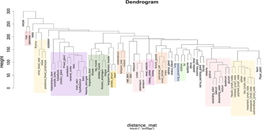Dendrogram showing the hierarchical clustering of tissues based on gene expression (log2 FPKM) data. The different colours in the clusters represent different tissue categories.