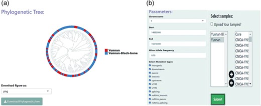 Phylogenetic analysis conducted using the “Phylogenetics” module in BbGSD. (a) NJ tree constructed based on SNPs around the MTURN gene, using the phylogenetic functionality of BbGSD. (b) User-interactive panel for filtering SNP site parameters.