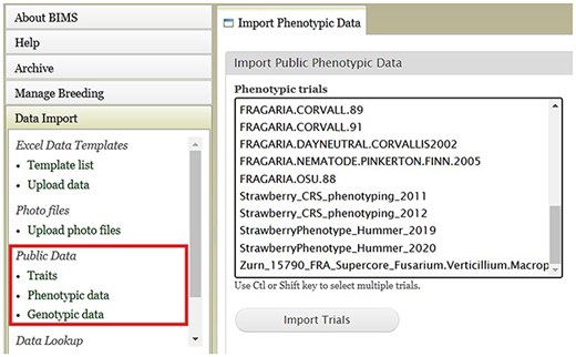 An example BIMS page where users can download public phenotype data.