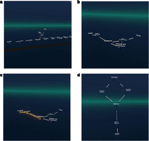 An example figure showing the selection of the topic “tobacco,” followed by navigation to the “DNBC” cohort. The users then specified a query pattern and saw that the PSYCONN cohort was also linked to the same topic in this example set (the original catalogue holds many more records). (The labels were requested manually in Graph2VR).