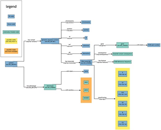 This figure provides a schematic overview of the structure and interconnections within the RDF data (turtle files) generated from VIP VCF files including potential references to external sources. Each box represents a node. Each line represents a predicate. The arrow points towards the object of a triple (subject—predicate—object). The text within the brackets of a box shows the rdf:type of that node. For the lines, the text within brackets represents the IRI used as predicate to link nodes. Note that multiple objects are allowed for certain subjects, even though this is not explicitly mentioned in the figure (e.g. a patient can have multiple variants).