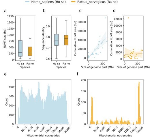 Plots of the comparative use case using the human and rat NUMTs as examples with distribution of NUMT sizes (a); distribution of sequence identities of NUMTs and their corresponding mitochondrial regions (b); regression plots of selected species’ genomic parts (chromosomes and scaffolds) and their corresponding cumulative NUMT sizes (c and d) and distributions of NUMTs in terms of mitochondrial nucleotides (e and f).