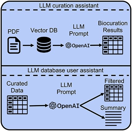Developing custom LLM-based chatbots to assist with curation and information extraction from genetic mapping studies. Pretrained LLMs, such as the OpenAI GPT models, can be employed to assist both the curators and the users of biological databases. For assistance with curation, LLMs, coupled with the RAG framework, can be used to extract relevant structured data from genetic mapping manuscripts, such as manuscript categories, traits, QTLs, and MTAs. For assistance with manually curated structured QTL data, LLMs can be used to filter and summarize relevant information based on user-provided prompts.