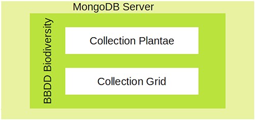 The database architecture designed for ForestForward.