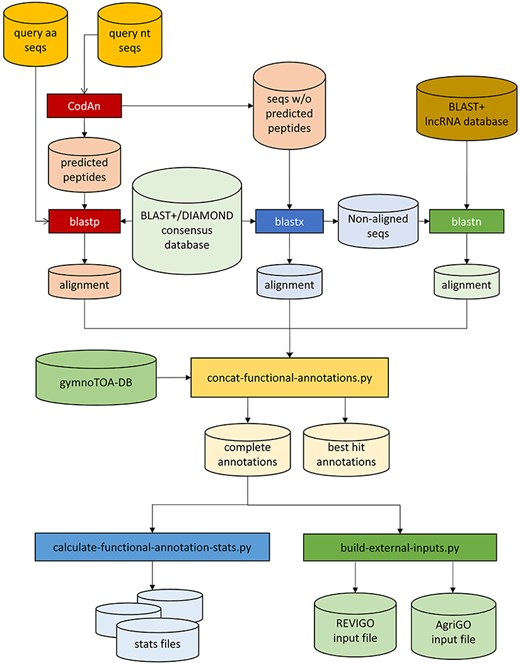 Workflow of GymnoTOA-APP.