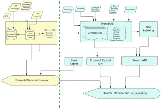 A diagram showing the infrastructure design and information technology used to support the site. GrameneOryz site infrastructure and its components