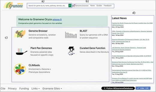 The homepage of GrameneOryza release8 with 4 areas highlighted: search box, quick links to other functional modules, tools, community news and announcements