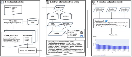 Overview of the pipeline for exploring information on GE using the GE meta-database and a LLM. The pipeline comprised three major steps: Step 1 retrieves GE-related publications for LLM processing. The system queries GEM to obtain GE-related publications associated with genes of interest. Step 2 implements LLM-based information extraction, utilizing multiple inputs including GEM’s gene annotations, GEM’s species information, GEM’s GE tool information, literature text, and prompts to extract detailed GE information. Step 3 facilitates the visualization of extracted data and implements scoring metrics.