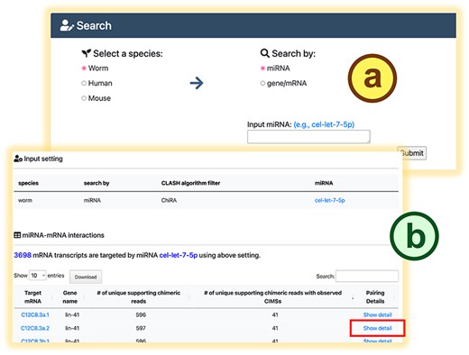 The search mode in mirTarCLASH. (a) The query settings. (b) The query result table. Click the “Show detail” link, and the detailed chimera analysis information for the pair will be provided.