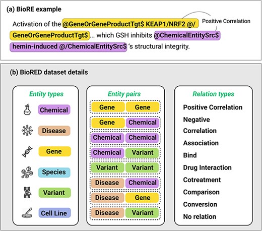 (a) An example of a biomedical relation extraction task for a “Positive Correlation” relation between two types of entity, Gene and Chemical, being wrapped in entity type tagging. There will be a source entity (with “Src” tags) and a Target entity (with “Tgt” tag). The specific tags @/EntityType$ and @/EntityType$ should not be changed during the data augmentation. (b) Details of multiple entity types, pairs of entities that may have relation, and multiple relation types.