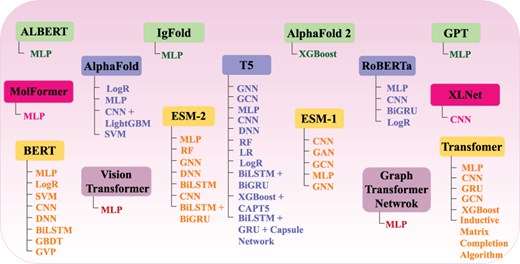 Utilization of 15 different LLMs in diverse protein sequence analysis pipelines based on a variety of machine and deep learning algorithms