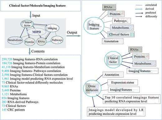 The main functions and usages of MIPD. Input, output, and contents information of MIPD.