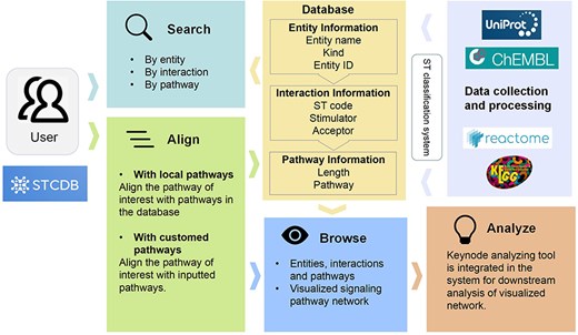 Schematic diagram of the data processing and database structure of STCDB4ND in this study.