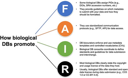 How biological databases (DBs) implement the FAIR principles and promote FAIR data.
