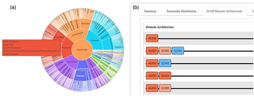 The GenDiS3 web interface for visualizing taxonomic distribution and DAs. (a) Sunburst chart (interactive) showing the taxonomic distribution of a superfamily. (b) SCOP DAs of a superfamily.