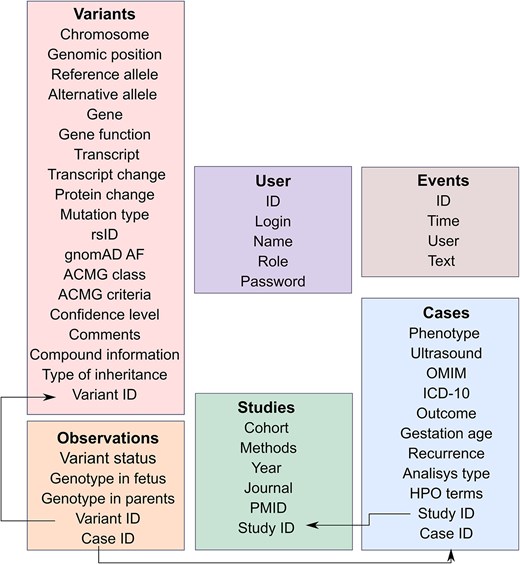 Architecture of the PLoV database. Each rectangular shape corresponds to a separate table in the database. Key fields have the ‘ID’ suffix and are connected using arrows.