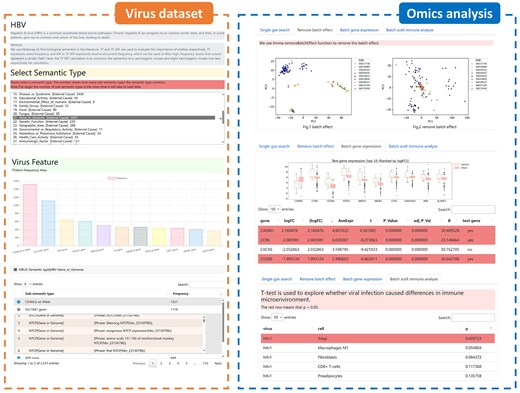 Platform development for viral literature annotation and omics data. The viral literature annotation dataset module includes TF–IDF and word count features for 43 different semantics. The omics data module includes the results of batch effect removal, gene differential expression analysis, and immune microenvironment analysis.