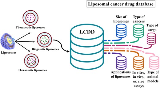 The data from liposome research articles were manually extracted and incorporated into a comprehensive database (LCDD).