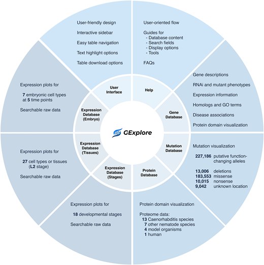 Overview of GExplore 1.5 showing the six databases—gene, mutation, protein, expression (stages), expression (tissues), and expression (embryo).
