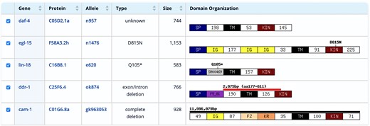 Result Table of the mutation database showing selected mutations in transmembrane kinase receptors, including an allele with no molecular data in WormBase (n957), a missense mutation (n1476), a nonsense mutation (e620), a deletion affecting part of a single gene (ok874), and a large deletion affecting multiple genes (gk963053).
