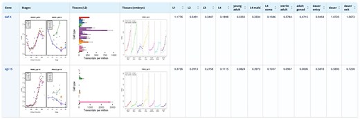 Result Table of the stage expression database showing the stage expression profiles of daf-4 and egl-15, two transmembrane kinase receptors.